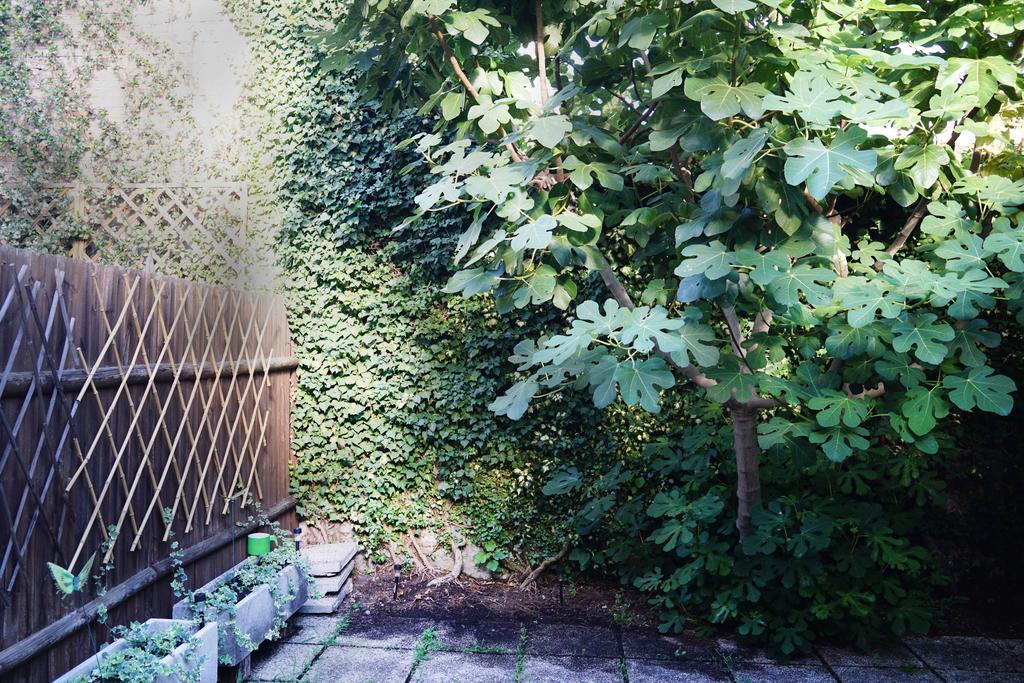 La Maisonette Et Son Jardin Venesia Bagian luar foto